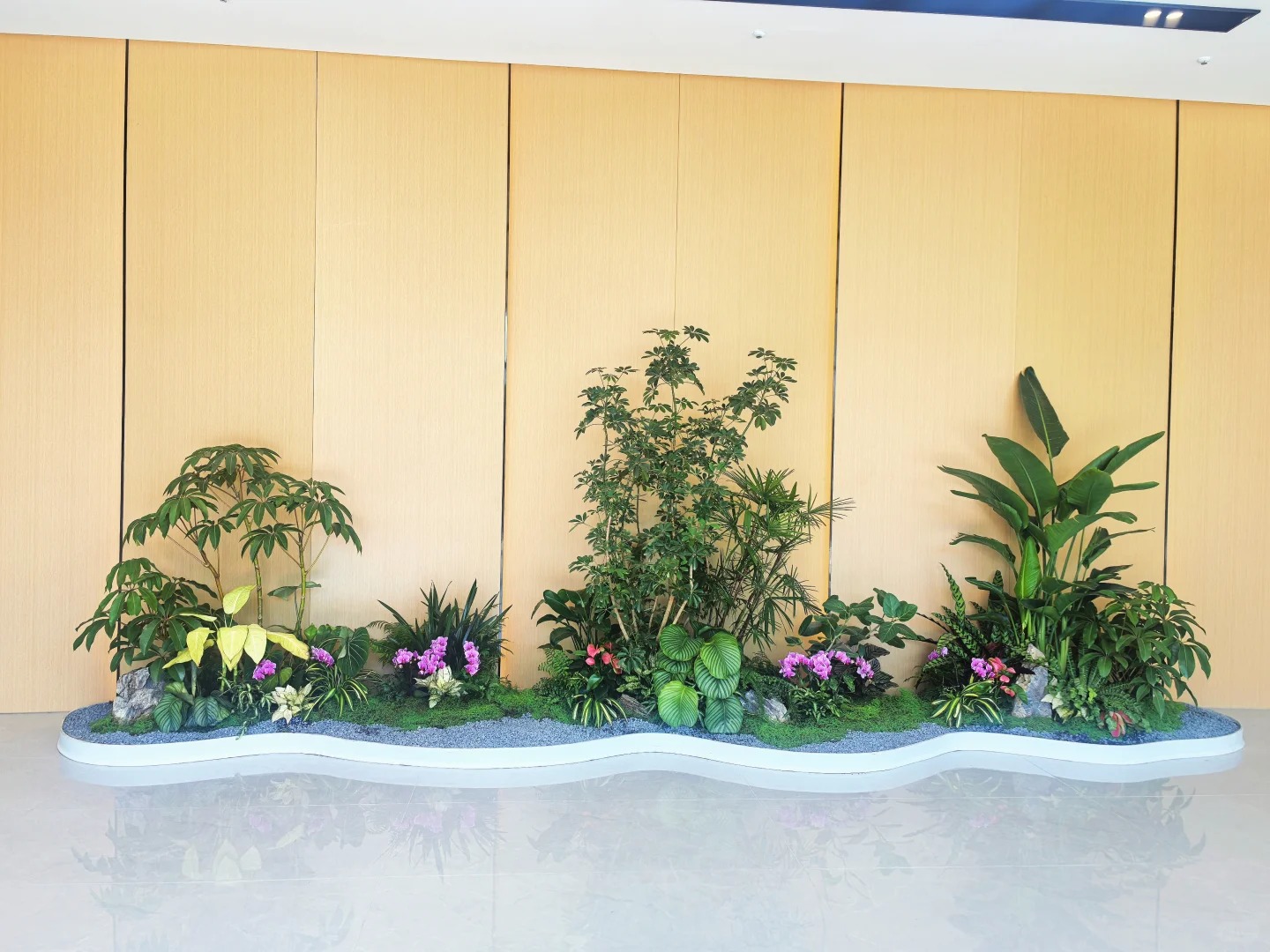 余姚植物租摆专业，绿植焕新家，品质超一流！