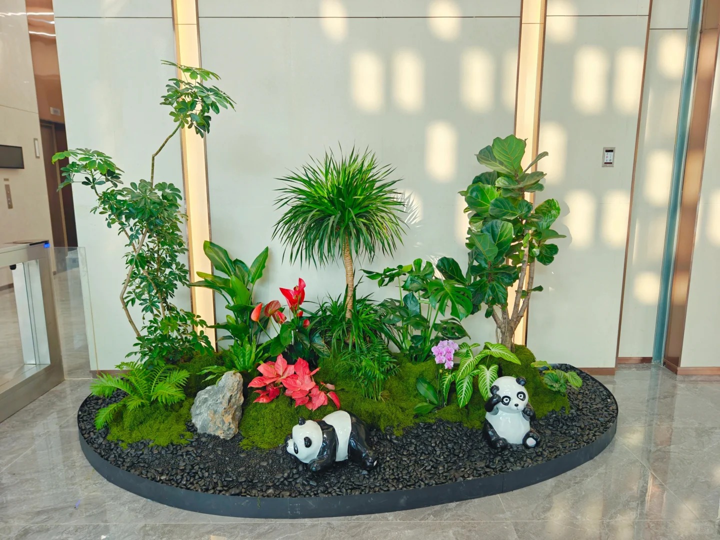 专业植物出租在宁波镇海，装点生活新模样