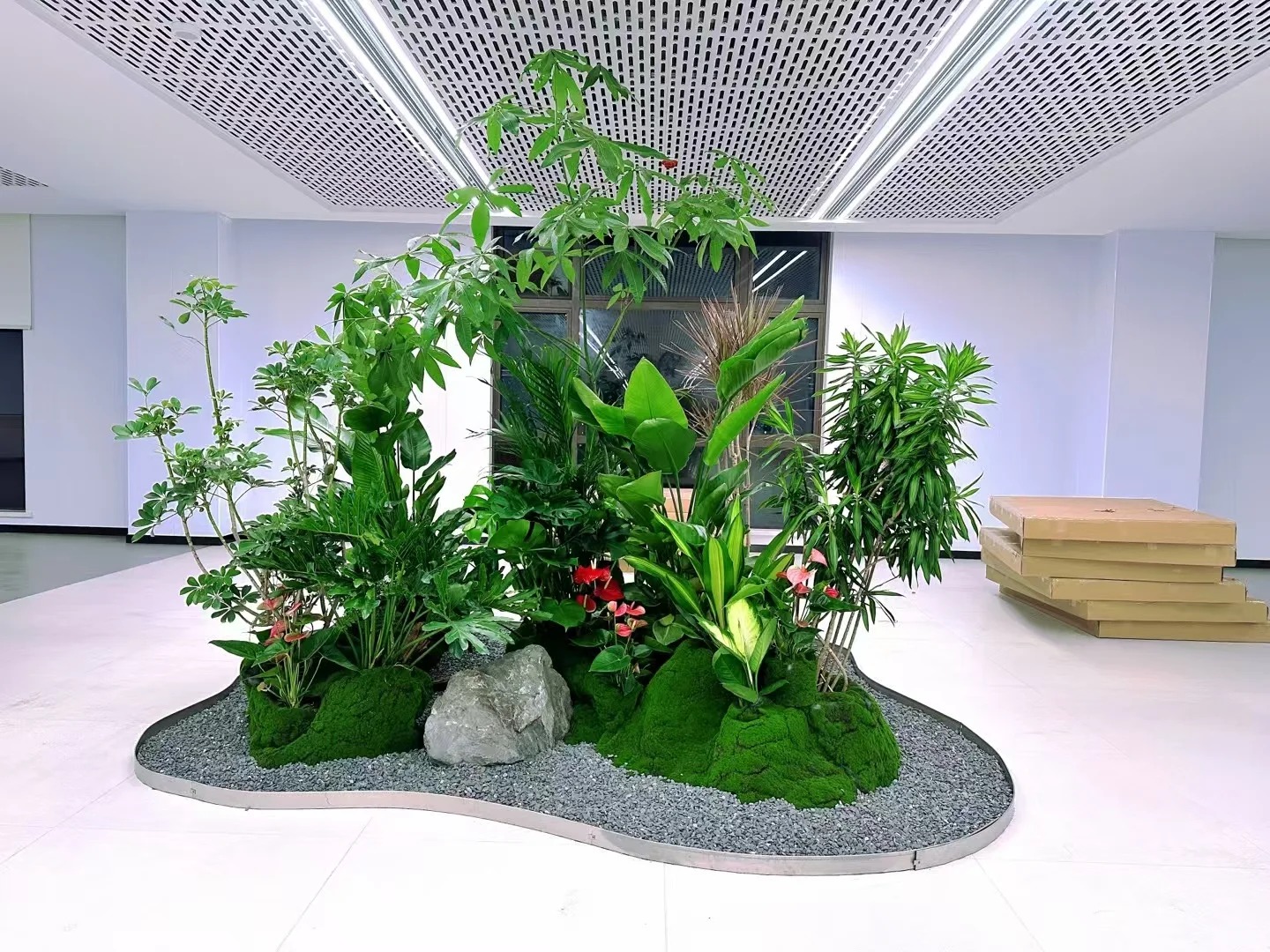 价格实惠的杭州湾植物租摆，给你意想不到的绿色惊喜！