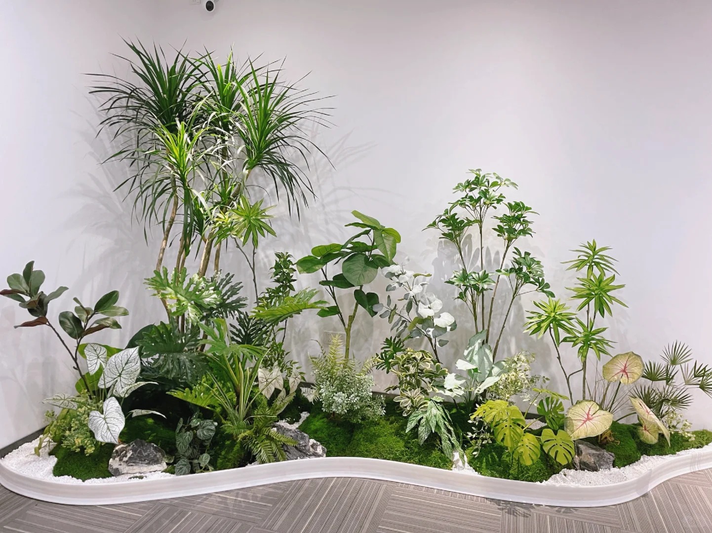 价格实惠的杭州湾植物租摆，给你意想不到的绿色惊喜！